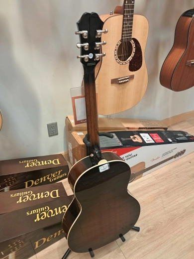 Store Special Product - Epiphone EL-00